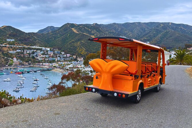 Private Guided City Tour up to 12 Passengers - Key Points