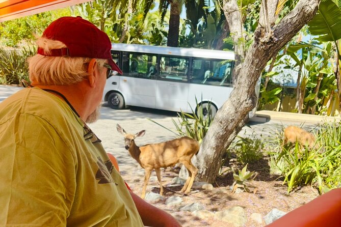 Private Guided City Tour up to 12 Passengers - Engaging and Knowledgeable Guides