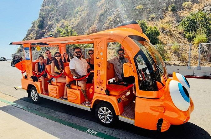 Private Guided City Tour up to 12 Passengers - Weather and Cancellation Policies