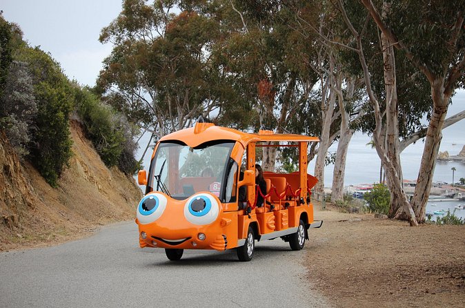 Private Guided City Tour up to 12 Passengers - Final Thoughts on the Private Guided City Tour