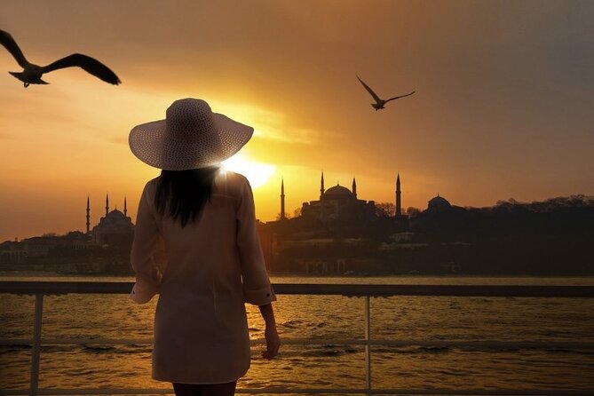 Private Guided Day Tour in Istanbul - Customizable Itinerary with Site Recommendations