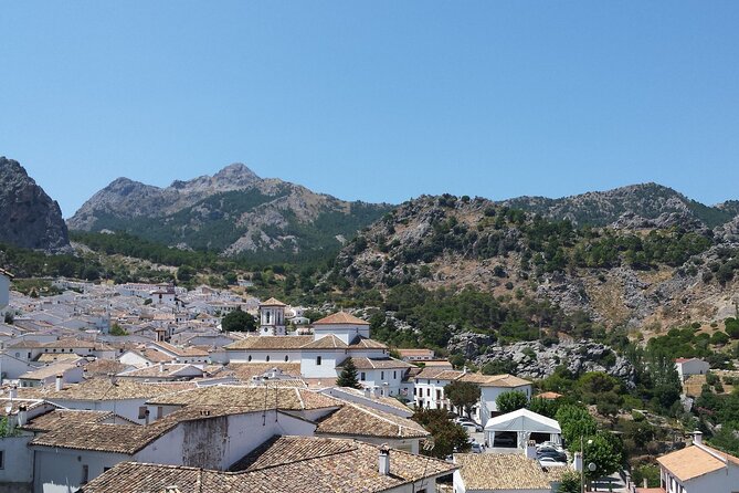 Private Guided Day Trip to the White Villages and Ronda - Private Transportation and Comfort Features