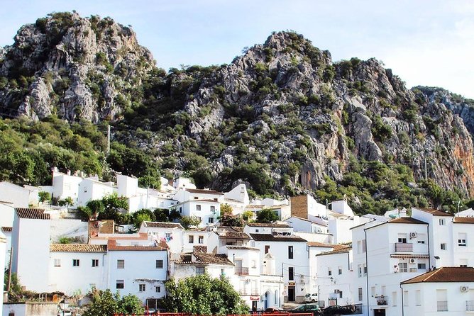 Private Guided Day Trip to the White Villages and Ronda from Seville - Cultural and Ecological Activities in Sierra de Grazalema