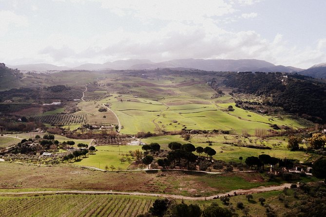 Private Guided Day Trip to the White Villages and Ronda from Seville - Flexibility and Customization of the Itinerary
