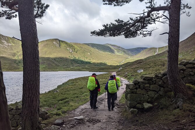Private Guided Discovery Walk in the Cairngorms - Key Points