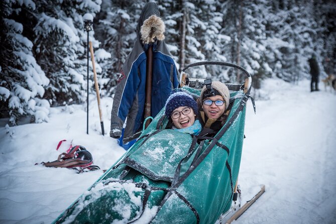 Private Guided Dog Sledding on the Historic Yukon Quest Trail - Meet the Husky Team and Learn About Dog Mushing
