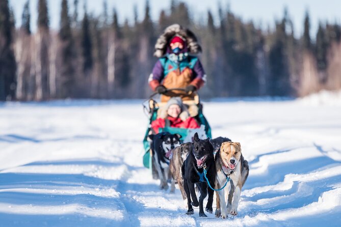 Private Guided Dog Sledding on the Historic Yukon Quest Trail - The Experience of Mush on the Yukon Quest Trail