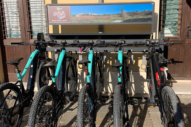 Private Guided E-bike Tour in Bertinoro - What’s Included in the Tour: Equipment and Comfort