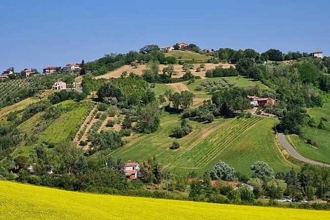 Private Guided E-bike Tour in Bertinoro - Practicalities: Meeting Point and Tour Flexibility