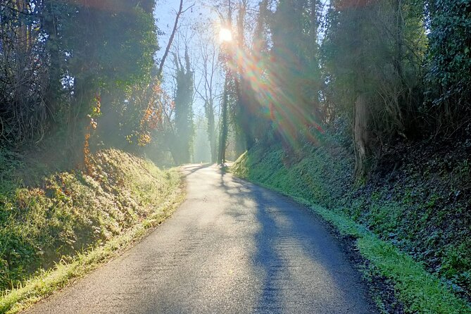Private Guided E-bike Tour in Bertinoro - The Experience with eBikeStyle: Quality and Service