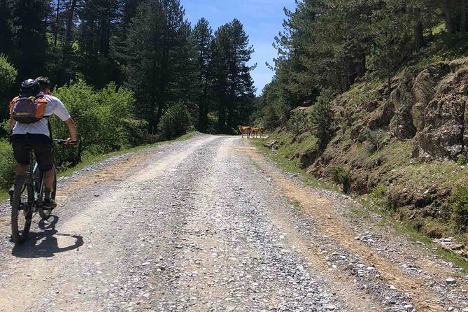 Private Guided E-Biking Tour on Mount Olympus - Lunch and Snacks Included