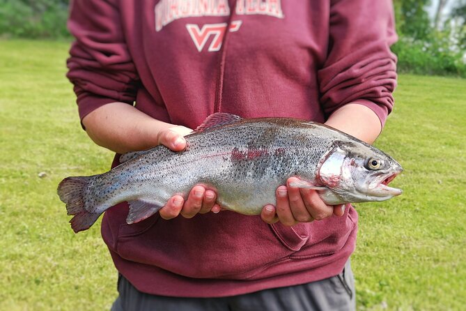Private Guided Fishing Boat Tour in Rovaniemi - Additional Activities: Swimming and Scenic Stops