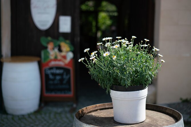 Private Guided Full Day Tour to charming Burgenland region with Wine tasting - Logistics: Pickup, Transportation, and Pacing