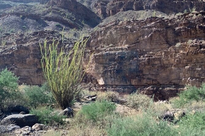 Private Guided Grand Canyon Tour in Arizona - Reaching the Bottom of the Grand Canyon for Scenic Views