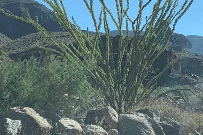 Private Guided Grand Canyon Tour in Arizona - Short Optional Hike Near the Colorado River