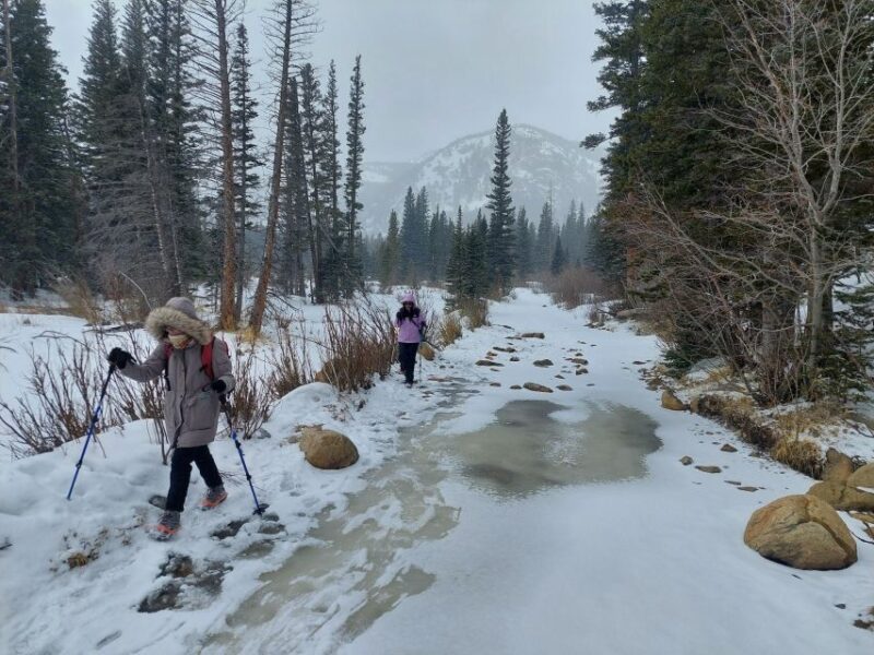 Private Guided Hike in the Rockies - Wildlife and Nature Encounters