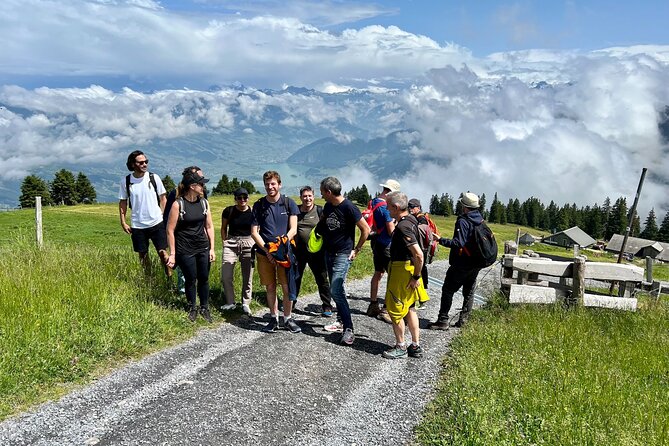 Private Guided Hike on Mt. Rigi with Farm Visit and BBQ - Practical Details: Accessibility, Timing, and Booking