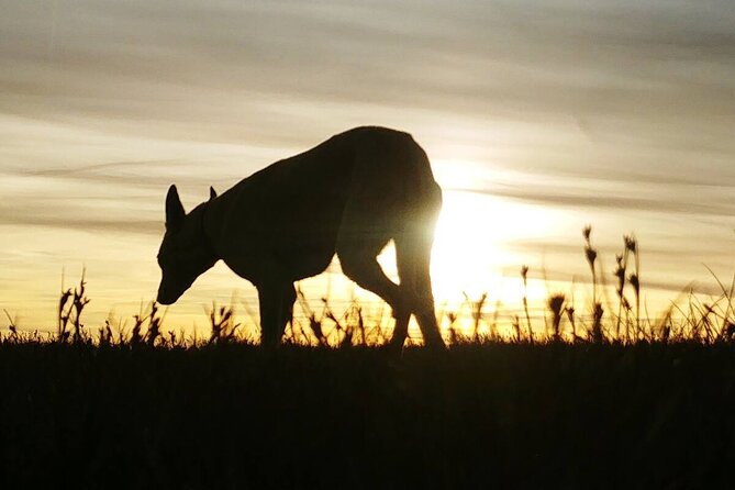 Private Guided Hike: Sunset On Pen y Fan In The Brecon Beacons - Cancellation and Flexibility
