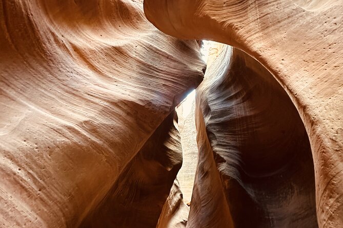 Private Guided Hike Through Buckskin Gulch Wire Pass - An Intimate Adventure into Zions Famous Slot Canyons for Up to Four People