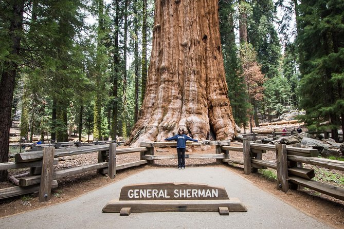Private Guided Hiking Tour - Sequoia National Park - Exploring Sequoia and Kings Canyon with a Private Guide