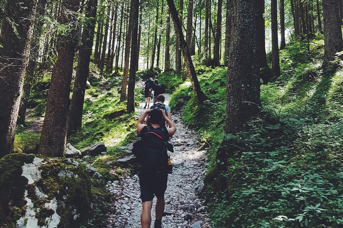 Private Guided Hiking Tour - Sequoia National Park - Practical Details: Meeting Point and Timing