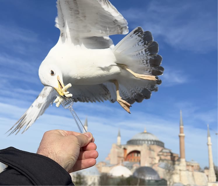 Private Guided Istanbul City Tour with Transfers - Discover Istanbul in a Personal 8-Hour Private Guided Tour
