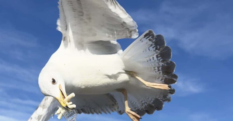 Private Guided Istanbul Luxury Tour (Tickets and Transfers) - Discover Istanbul’s Top Sights with a Private Guide