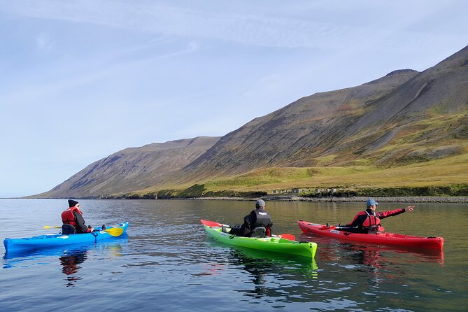 Private: Guided kayak tour in Siglufjörður / Siglufjordur. - Learning the Basics Before Paddling