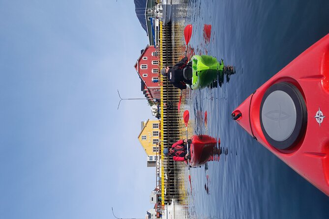 Private: Guided kayak tour in Siglufjörður / Siglufjordur. - Discovering the Evanger Factory and Its Tragic Past