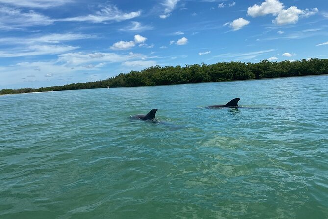 Private Guided Kayak Tour on Big Hickory Pass - Key Points
