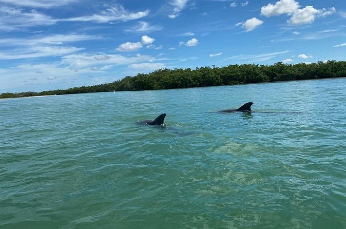 Private Guided Kayak Tour on Big Hickory Pass - Equipment Quality and Comfort