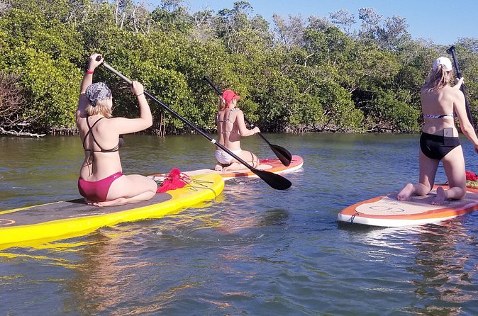Private Guided Kayak Tour on Big Hickory Pass - The Private Beach and Shelling Opportunities