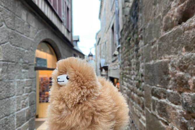 Private Guided Mont Saint Michel & D-day tour from Paris - Review Highlights and Considerations