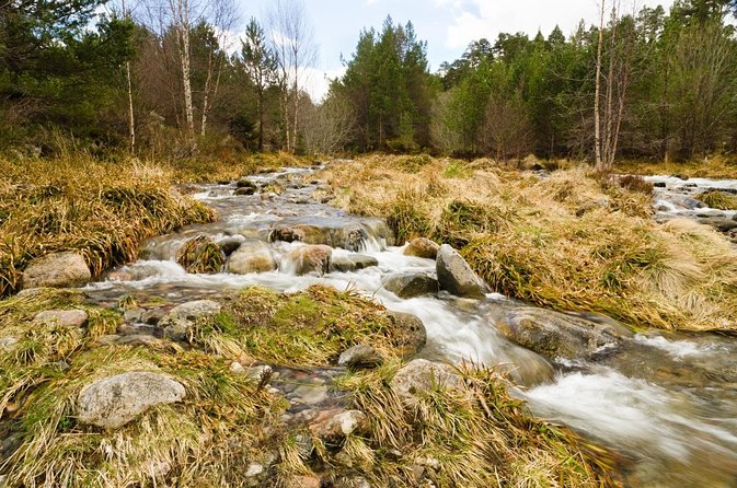 Private Guided Mountain Walking Experience in the Cairngorms - Explore the Cairngorms with a Private Mountain Walking Experience in Scotland