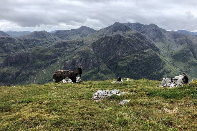 Private Guided Mountain Walking Experience in the Cairngorms - Practical Details: What to Bring and How to Prepare