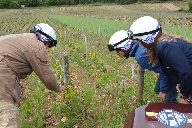 Private Guided Sidecar Tour in Burgundy from Meursault - Facing Montrachet at Puligny-Montrachet