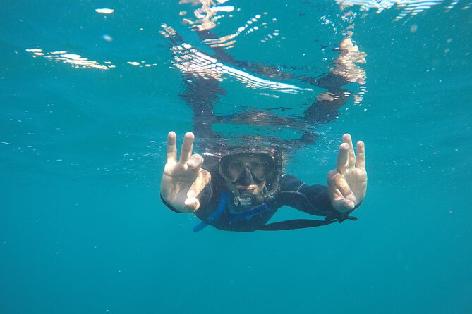 Private Guided Snorkeling in Cabo San Lucas - Snorkeling in Vibrant Marine Waters Rich in Tropical Fish