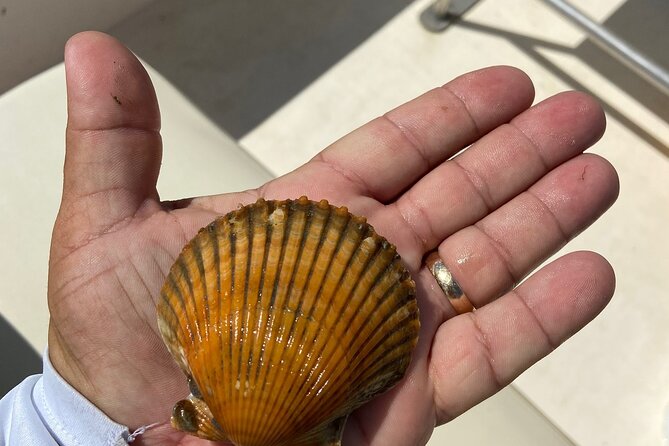 Private Guided Snorkeling with Scallop Hunt - Guides and Expertise