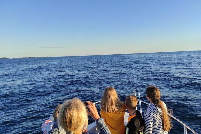 Private Guided Sunset Dolphin Watching in Adriatic Sea - Key Points