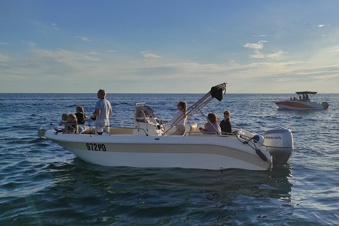 Private Guided Sunset Dolphin Watching in Adriatic Sea - The Expertise and Respect of the Guides
