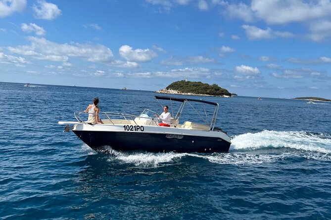 Private Guided Sunset Dolphin Watching in Adriatic Sea - The Search for Dolphins: An Exciting Start