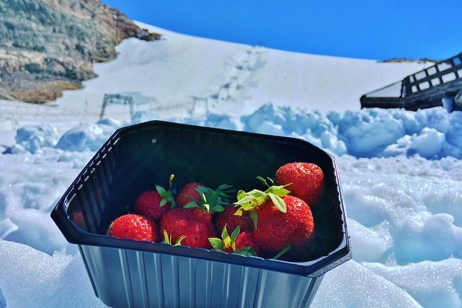 PRIVATE GUIDED TOUR: Folgefonna Glacier roundtrip from Bergen, 8 hours - Visiting Norheimsund and Crossing the Hardangerfjord via Ferry