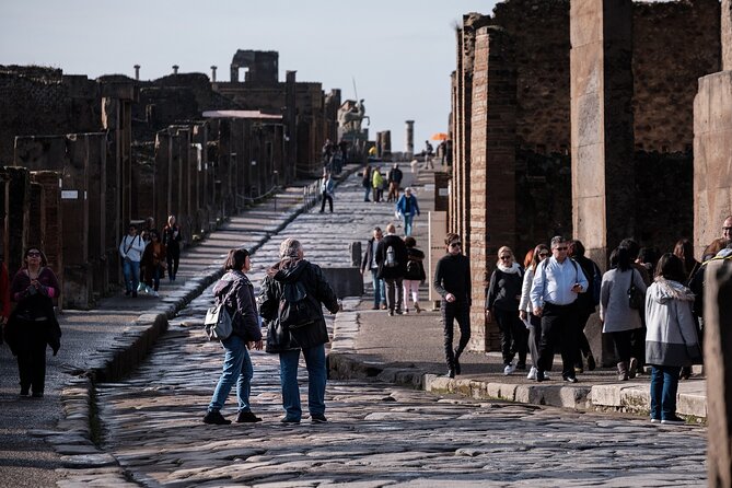 Private Guided Tour from Rome to Pompeii - Convenience of Pickup and Private Transport to Pompeii