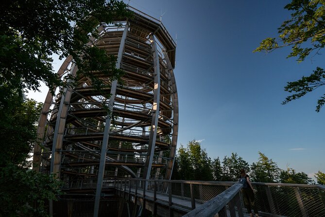 Private Guided Tour from Vienna to Hallstatt with Cable Car & Treetop in Gmunden - Returning to Vienna with a Scenic Drive