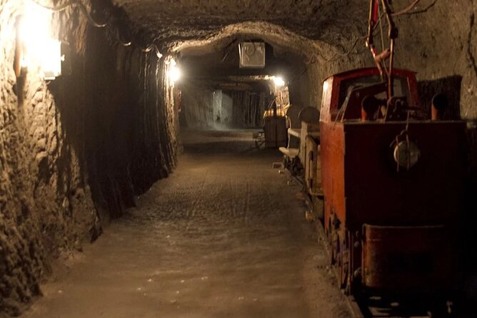 Private guided tour from Vienna to Hallstatt with Skywalk & Salt Mine Experience - Return Journey with Comfort and Breaks