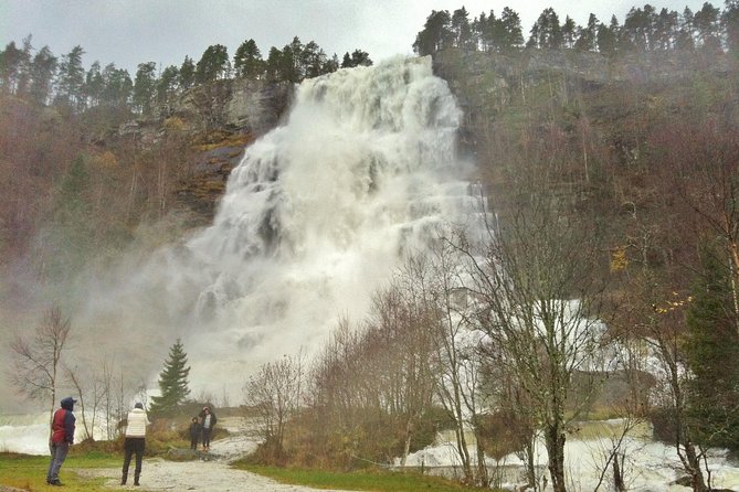 PRIVATE GUIDED TOUR: Highlights of Norway  Trip to the Sognefjord  WINTER - The Majestic Nærøyfjord: UNESCO World Heritage Site
