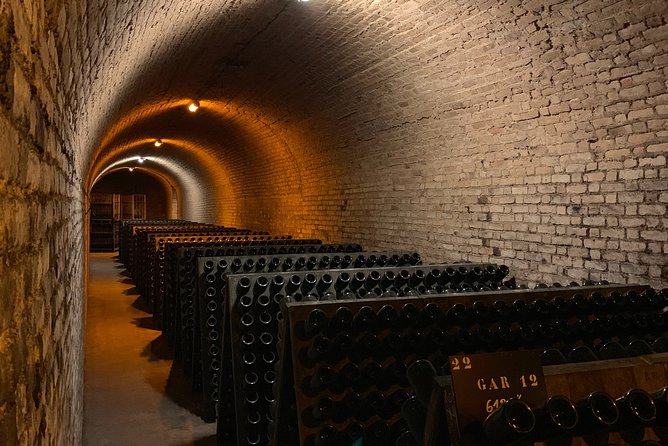Private Guided Tour in Champagne from Paris with Moet&Chandon visit. - Lunch at a Bistronomic Restaurant (Not Included)