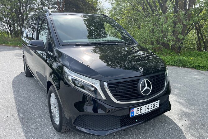 Private Guided Tour in Fjords & Waterfalls of Hardanger Norway - The Guide’s Expertise and Personal Touch