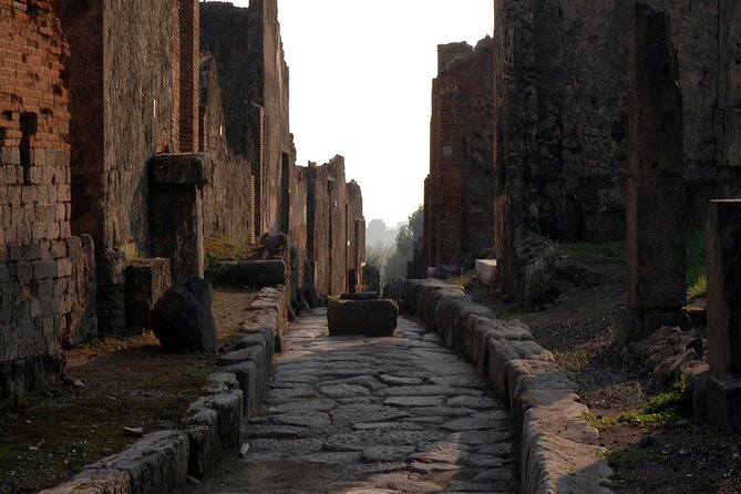 Private Guided Tour in Pompeii - Starting from Naples: Convenient Pickup and Drop-Off