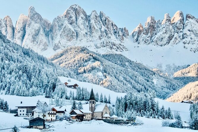 Private Guided Tour in the Dolomites from Venice - Admiring Lake Dobbiaco on the Border of Natural Parks